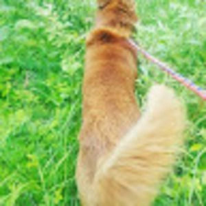 Meet your Posher, Serena